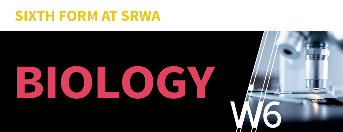 W6 Banner   BIOLOGY 1 (2)
